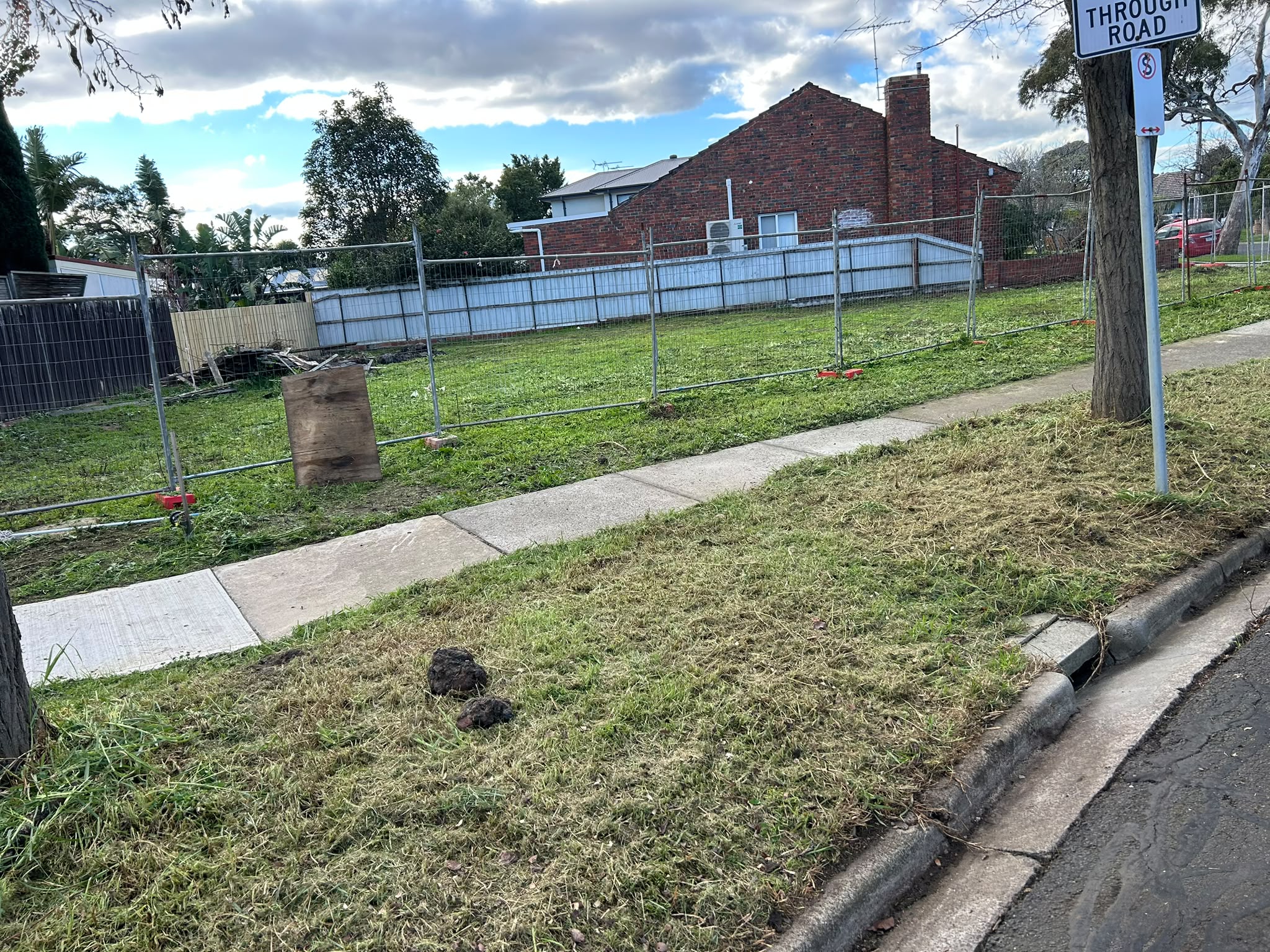 Garden Clean Up After image 7